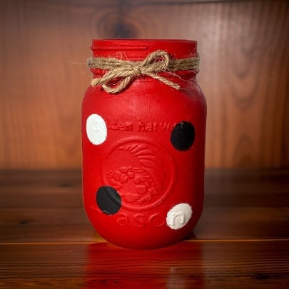 Ladybug Mason Jars