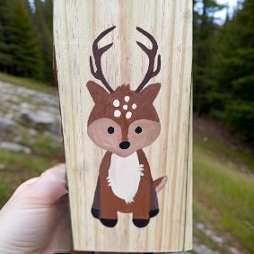 Baby Woodland Animal Signs